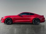 2023 Mustang Thumbnail 3