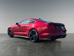 2023 Mustang Thumbnail 4