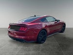 2023 Mustang Thumbnail 6
