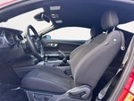 2023 Mustang Thumbnail 13