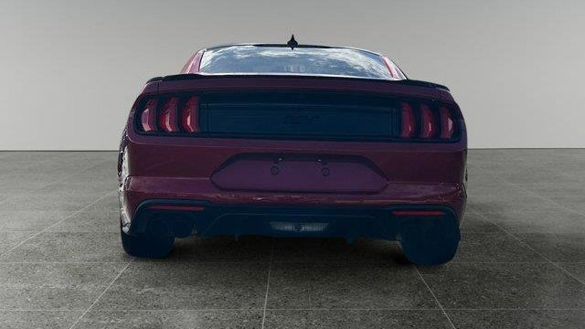2023 Ford Mustang GT
