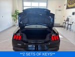 2024 Mustang Thumbnail 11