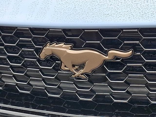 2025 Ford Mustang - $52,988