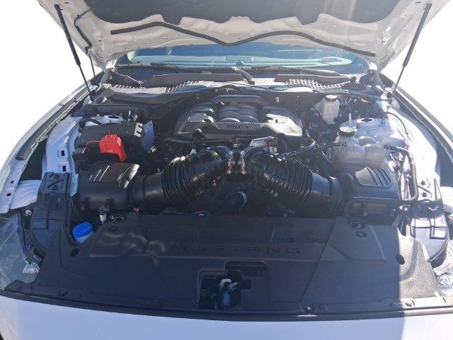2026 Ford Mustang - $49,495