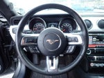 2015 Mustang Thumbnail 22