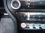 2015 Mustang Thumbnail 24