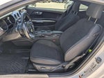 2017 Mustang Thumbnail 19