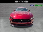 2019 Mustang Thumbnail 9