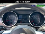2019 Mustang Thumbnail 17