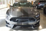 2019 Mustang Thumbnail 3