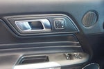 2019 Mustang Thumbnail 20