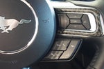 2019 Mustang Thumbnail 24