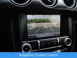 2019 Mustang Thumbnail 9