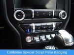 2019 Mustang Thumbnail 10