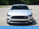 2019 Mustang Thumbnail 17