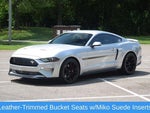 2019 Mustang Thumbnail 18