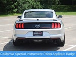 2019 Mustang Thumbnail 21