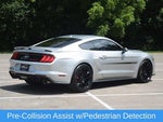 2019 Mustang Thumbnail 22