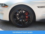 2019 Mustang Thumbnail 24
