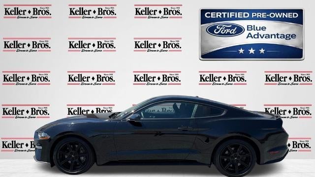 2019 Ford Mustang GT