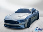 2019 Mustang Thumbnail 1