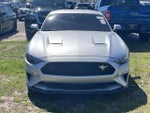 2019 Mustang Thumbnail 2