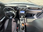 2019 Mustang Thumbnail 14