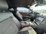 2019 Mustang Thumbnail 15