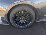 2020 Mustang Thumbnail 14