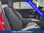 2020 Mustang Thumbnail 13