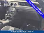 2020 Mustang Thumbnail 14