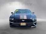 2021 Mustang Thumbnail 17