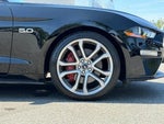 2021 Mustang Thumbnail 28