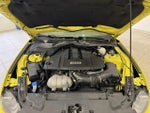 2021 Mustang Thumbnail 14