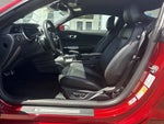 2021 Mustang Thumbnail 12