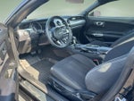 2021 Mustang Thumbnail 9