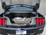 2021 Mustang Thumbnail 22