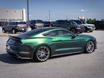 2021 Mustang Thumbnail 10