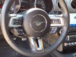2022 Mustang Thumbnail 15