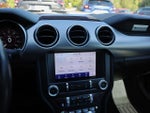 2022 Mustang Thumbnail 20