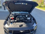 2024 Mustang Thumbnail 16