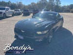 2015 Mustang Thumbnail 3