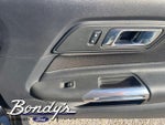 2015 Mustang Thumbnail 18