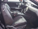 2017 Mustang Thumbnail 12