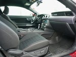 2017 Mustang Thumbnail 8