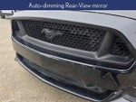 2017 Mustang Thumbnail 11