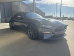 2019 Mustang Thumbnail 2