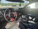 2019 Mustang Thumbnail 8