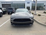 2019 Mustang Thumbnail 20