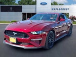 2019 Mustang Thumbnail 2